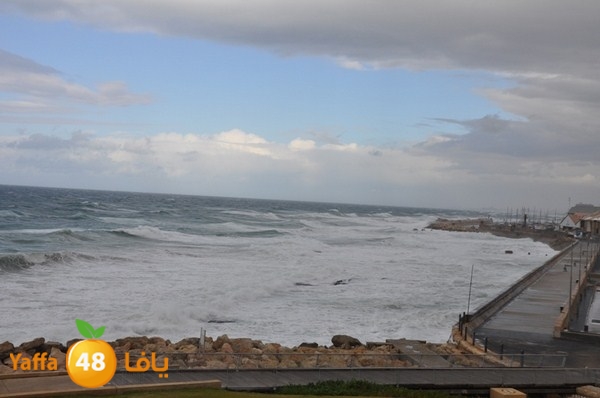 yaffa rain 1211 (30).JPG